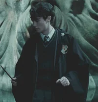 Tom Riddle - bro4
