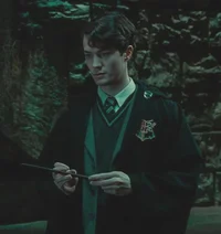 Tom riddle- ancestor