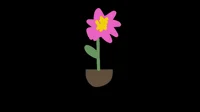 Tendral Flower