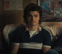 Steve Harrington 