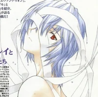 Kiku