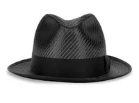 Literally a Fedora