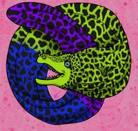 Parasitic Moray Eels