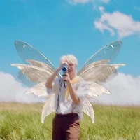 fairy felix
