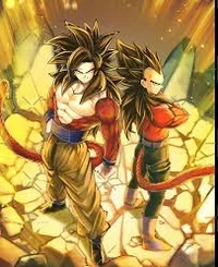 Goku and Vegeta
