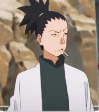 Adult Shikamaru 