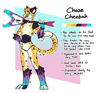 Chase cheebsh fnaf