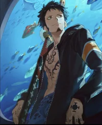 Trafalgar Law