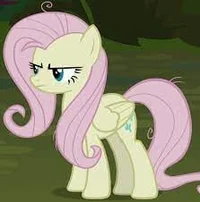 Mean fluttershy
