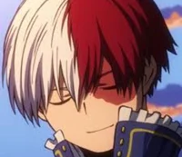 Shoto Todoroki