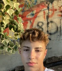 Andy
