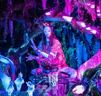 Navi Shaman of Songs