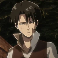 Levi Ackerman 
