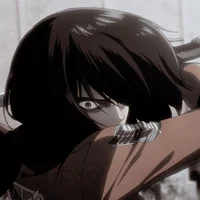 Mikasa Ackerman 