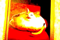 eeks person