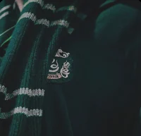 Slytherin boys