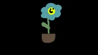 Baby Flower