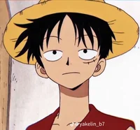 Luffy roomie