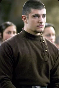 Viktor krum 