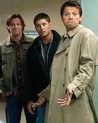 Team Free Will