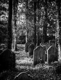 Abandoned Graveyard