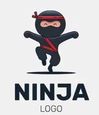 Ninja team