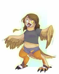 Bird tf