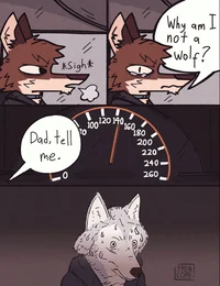 Furry talk