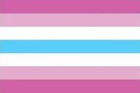 Femboy Flag