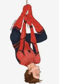 Peter aka spider man