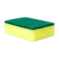 sponge 