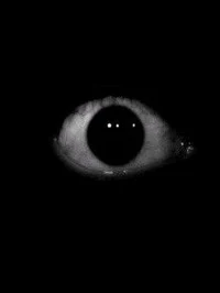 Stalker
