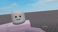 roblox fan