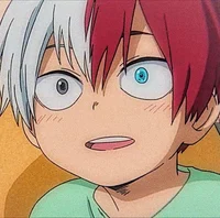 Shoto Todoroki