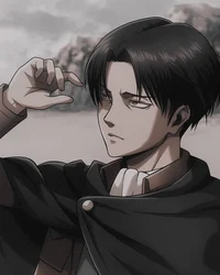 Levi Ackerman 