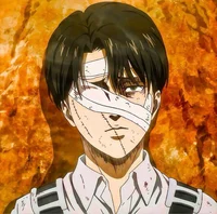 Levi Ackerman 