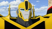 Bumblebee RiD