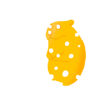Cheese Chomik