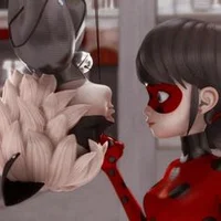 Ladybug e Cat Noir
