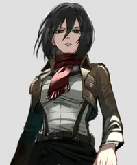 Mikasa ackerman