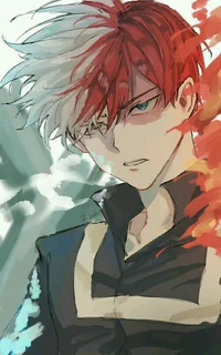 Shoto Todoroki 