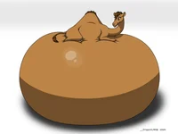 Camel Water Inflated