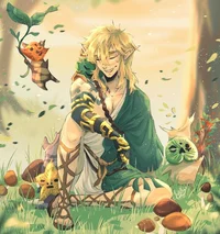 Link - TotK