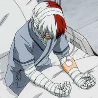 Shoto Todoroki