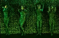 Leaflings N leaf wal