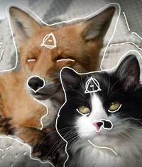 ShadowFox_