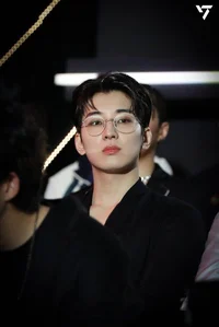 Wonwoo Mafia