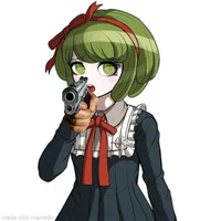monaca w a gun