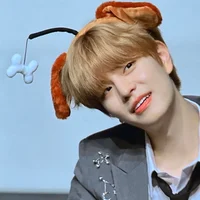 kim seungmin