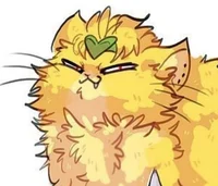 Dio cat